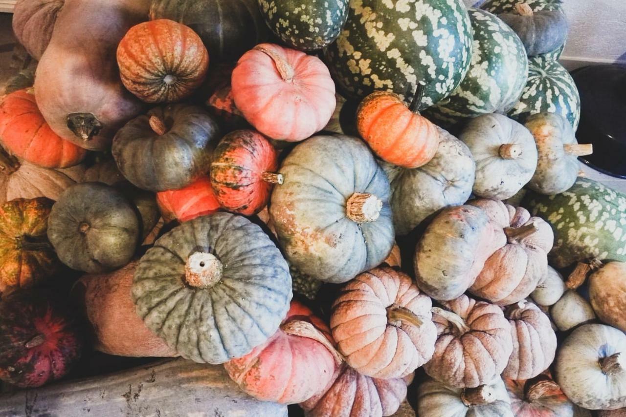 Agriturismo Fiori Di Zucca Fossano Buitenkant foto