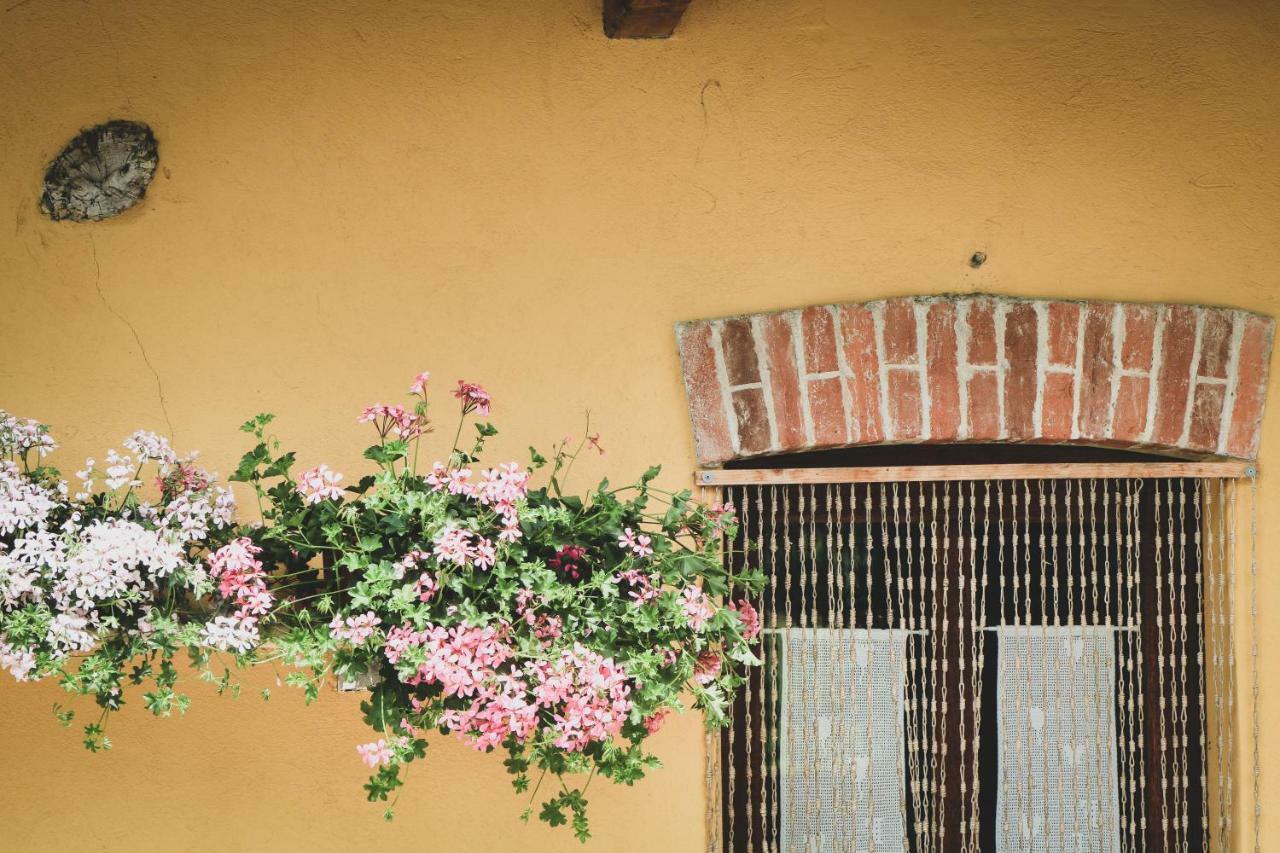 Agriturismo Fiori Di Zucca Fossano Buitenkant foto